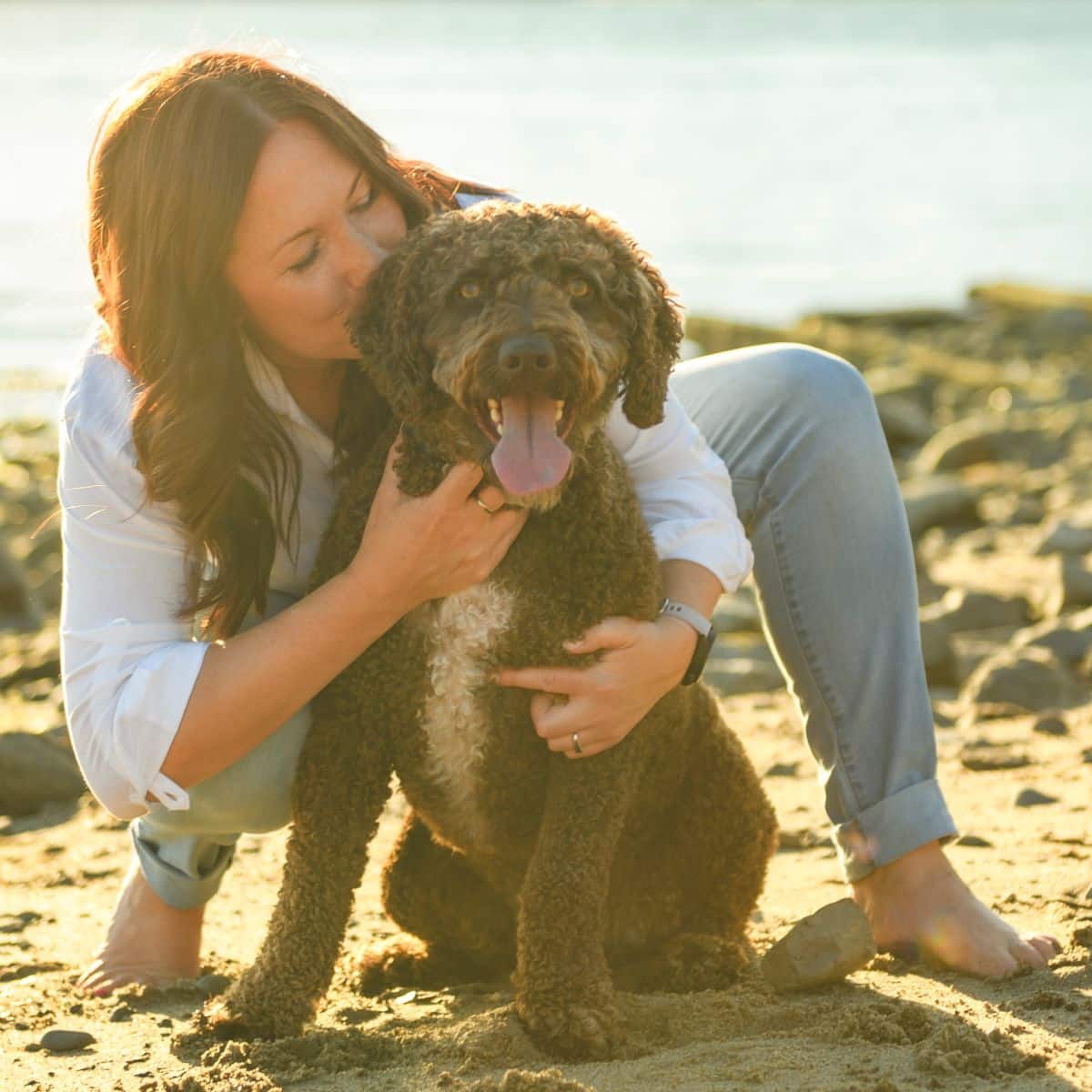 Portuguese Water Dog